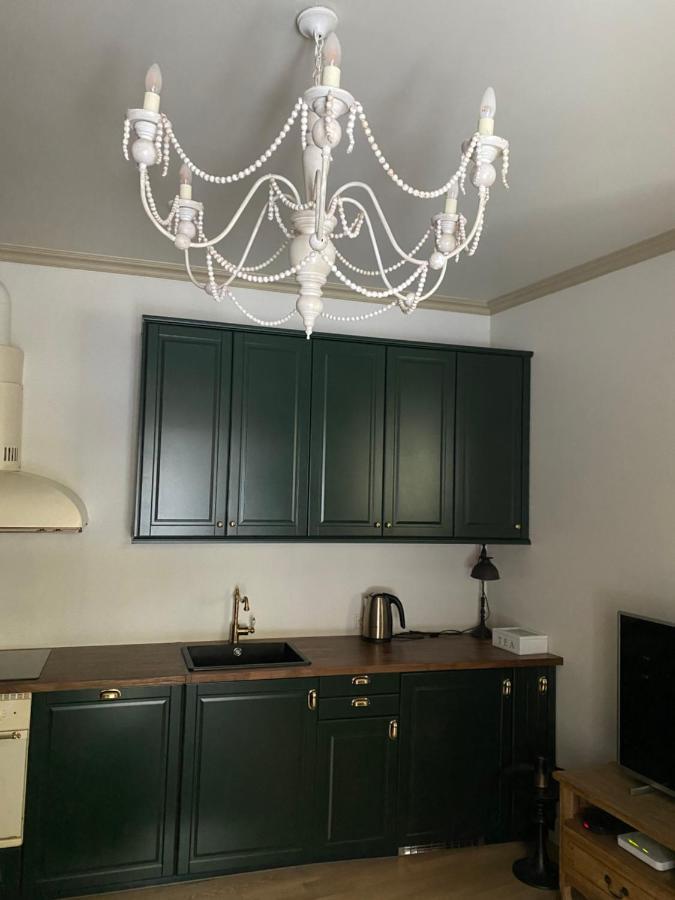 Exclusive Gaono Apartment In The Heart Of Old Town ヴィリニュス エクステリア 写真